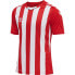 ფოტო #1 პროდუქტის HUMMEL Striped short sleeve T-shirt