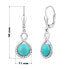 Фото #3 товара silver earrings with natural Turquoise JST14710TU