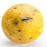 MIVARDI Pineapple+N.BA. Rapid Easy Catch Boilie 0.95kg