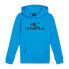 Фото #2 товара O´NEILL Logo hoodie