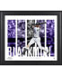 Фото #1 товара Charlie Blackmon Colorado Rockies Framed 15" x 17" Player Panel Collage