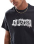 Levi's fruit boxtab logo relaxed fit t-shirt in black