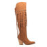 Dingo Witchy Woman Pointed Toe Pull On Womens Brown Casual Boots DI268-WHK