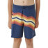 Фото #2 товара RIP CURL Inverted Swimming Shorts