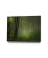 Фото #1 товара 32" x 24" Maier - Forest Morning Museum Mounted Canvas Print