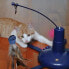 Фото #2 товара FERPLAST Raptor elektronisches Spielzeug - H 34 cm - Blau - Fr Katzen