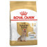 Фото #2 товара ROYAL CANIN Yorkshire Terrier 8+ 1.5kg Dog Food