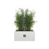 Plant pot Elho 59 x 30 x 29 cm White Plastic Rectangular Modern
