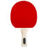 SPOKEY Roll Joy Table Tennis Racket