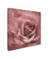 Фото #2 товара Cora Niele 'Misty Rose Pink Rose' Canvas Art - 24" x 24" x 2"