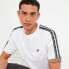 ფოტო #6 პროდუქტის ELLESSE Vintas short sleeve T-shirt