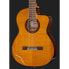 Takamine GC5CE Natural w/Bag