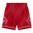 Фото #1 товара MITCHELL & NESS NBA MONOCHROME SWINGMAN SHORTS CHICAGO BULLS 2008