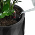 Plant pot Lechuza Grey Plastic (1 Unit)