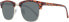 Фото #1 товара Replay Sonnenbrille RY503 CS02 53 Unisex Braun