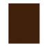 Фото #1 товара Цветной картон IRIS Шоколад 185 г (50 x 65 см) (25 штук)