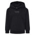 Фото #1 товара HUMMEL Pure hoodie