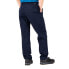 Фото #4 товара THE NORTH FACE Motion Pants