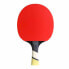 Фото #1 товара Cornilleau Perform 600 table tennis bats