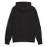 PUMA Graphic Booster hoodie