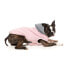 FUZZYARD Cremorne Dog Sweatshirt Hoodie Розовый, 3 - фото #6