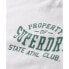 Фото #7 товара SUPERDRY Athletic College Graphic short sleeve T-shirt