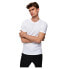 SELECTED The Perfect short sleeve T-shirt