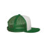 FLEXFIT Classique Plat cap