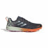 Фото #1 товара Мужские спортивные кроссовки Adidas Terrex Speed Flow Чёрный