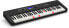 Фото #3 товара Casio LK-S450 Casiotone Top Illuminated Keyboard with 61 Velocity-Dynamic Keys in Piano Look with 600 Sounds and 200 Accompaniment Rhythms & Amazon Basics AA Alkaline Batteries