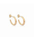 ფოტო #1 პროდუქტის Crescent Hoops Gold Small