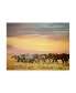 Фото #1 товара PH Burchett Sunkissed Horses I Canvas Art - 36.5" x 48"
