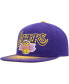 ფოტო #1 პროდუქტის Men's Purple Los Angeles Lakers Hardwood Classics Energy Re-Take Speckle Brim Snapback Hat