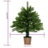 Weihnachtsbaum 3009443