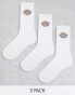 Dickies valley grove mid 3 pack socks multipack in white