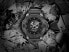 Фото #4 товара Philipp Plein Herrenuhr The $kull Synthetic