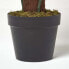 Фото #10 товара Philodendron Kunstpflanze im Topf