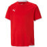 Фото #1 товара Puma teamLIGA Jersey Jr. 704925 01