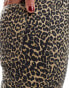 Mango leopard print straight leg jeans in brown