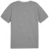 Puma Team Goal Casuals Tee M 658615 33