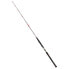 Фото #1 товара DAIWA Saltist Spinning Rod