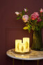 Фото #5 товара Настольная офисная лампа Pauleen LED-свеча Golden Feather в наборе из 3 шт.