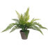 Фото #1 товара Декоративное растение Mica Decorations 40 x 11,5 cm Керамика PVC папоротник-орляк