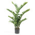 Фото #1 товара Искусственные цветы Emerald Zamioculcas pflegeleicht 110 см