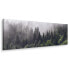 Panoramabild Wald im Nebel Bäume 3D