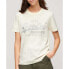 ფოტო #3 პროდუქტის SUPERDRY Metallic Vl Relaxed short sleeve T-shirt