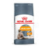 ROYAL CANIN Hair And Skin Care Cats Adult 10kg Cat Feed - фото #2