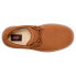 UGG Burleigh Chukka trainers