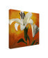 Фото #2 товара Pablo Esteban White Flower Over Orange Light 1 Canvas Art - 36.5" x 48"