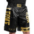 Фото #1 товара LEONE1947 DNA MMA Shorts